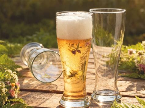 Buy BRUSHFINCH Tall Beer Glasses Set of 6, Perfect for Home, Restaurant ...