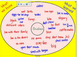 Image result for Thinking Maps Single Circle