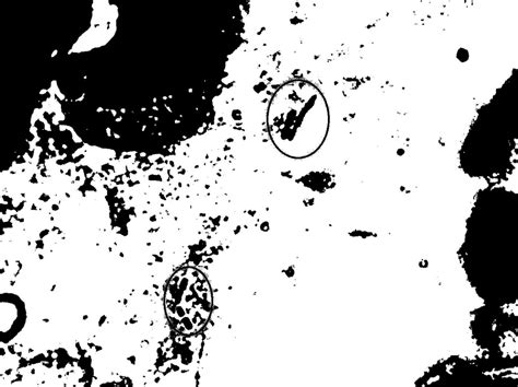 Image result for Image Processing Threshold