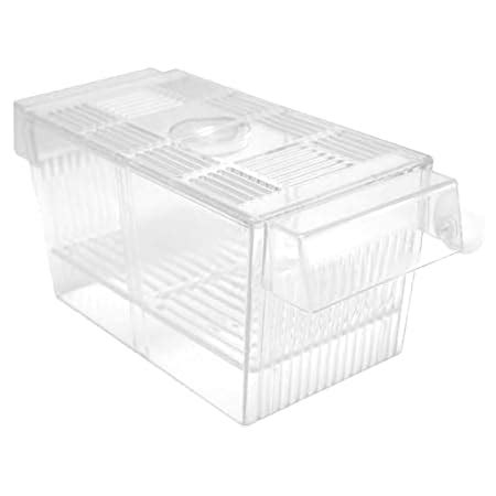 PREMIER PLANTS Acrylic Small Mini Fish Betta Double House Fish Breeding ...