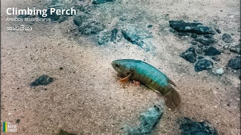 Image result for 10 Top Stories of the Week