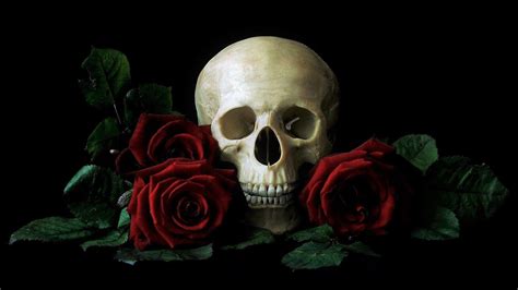 Skull And Roses Wallpapers - Top Free Skull And Roses Backgrounds ...