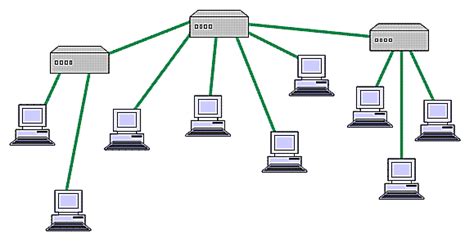 Computer Network Exercise 的图像结果