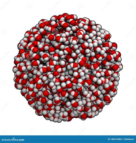 Water 的图像结果