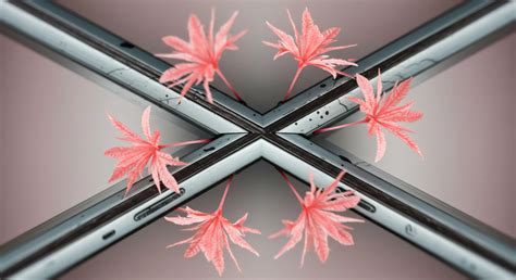 Ocularcentrism → Term