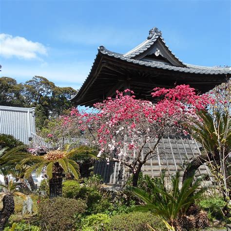 Nomanji Temple, Yoshida-cho - Tripadvisor