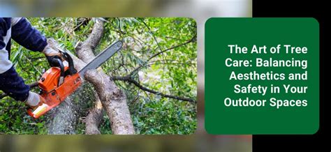 The Art of Tree Care: Mastering Aesthetics and Safety in Outdoor Spaces