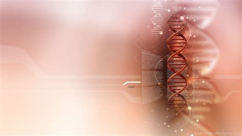 Biology Background HD 的图像结果