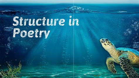 Image result for Poetry Structure