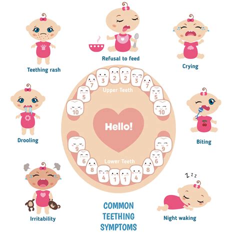 Can Teething Cause Diaper Rash? [Understand in Details]