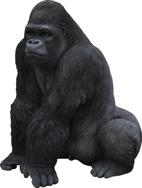 Gorilla PNG