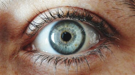Image result for Normal Human Eye