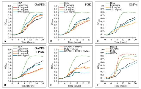 Predatory Strategies of Myxococcus xanthus: Prey Susceptibility to OMVs ...