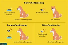 Image result for conditioning