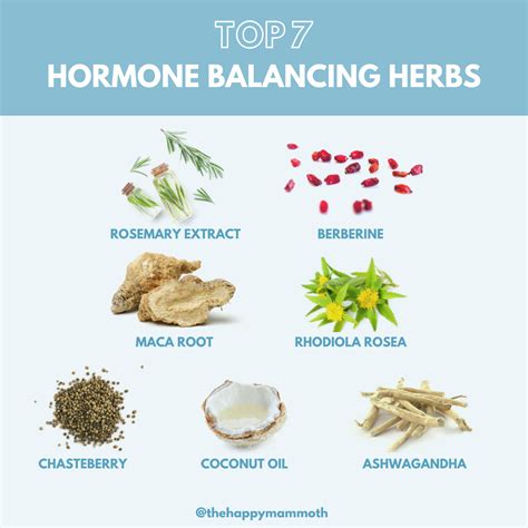 7 Breakthrough Hormone Balancing Herbs For Women (Fast Acting) | Happy Mammoth | Foods to ...