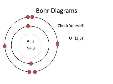 Bohr-Rutherford 的图像结果