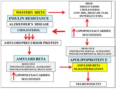 Overnutrition Determines LPS Regulation of Mycotoxin Induced ...