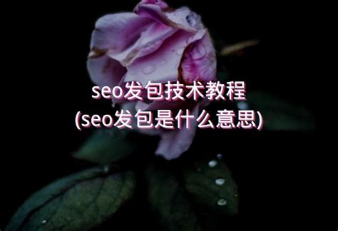 seo发包技术教程(seo发包是什么意思) - 洋葱SEO