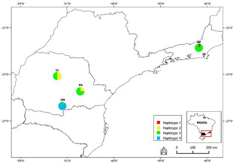 Morphometric and Molecular Insights into Hepatozoon spp. in Wild and ...