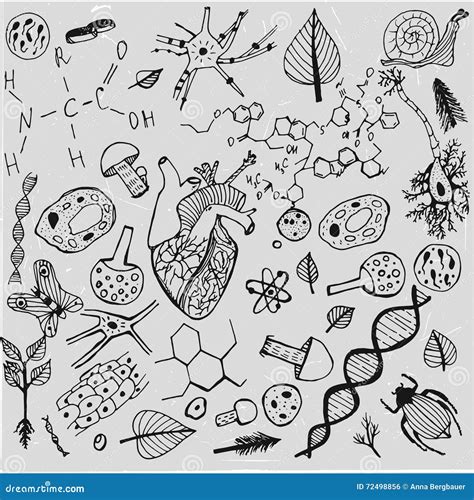 Background for Biology 的图像结果