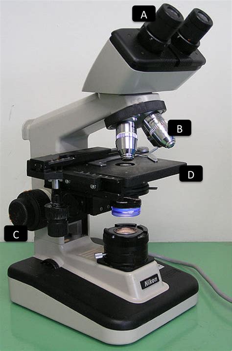 microscope parts • Hemocytometer