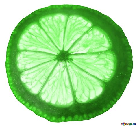 Image result for Lemon Slice Texture