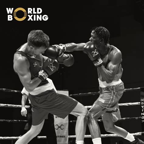Image result for World Boxing