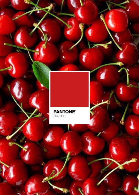Pantone Cherry - A Burst of Color