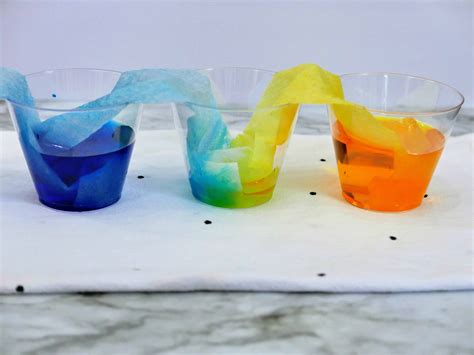 Easy Rainbow Walking Water Experiment For Kids