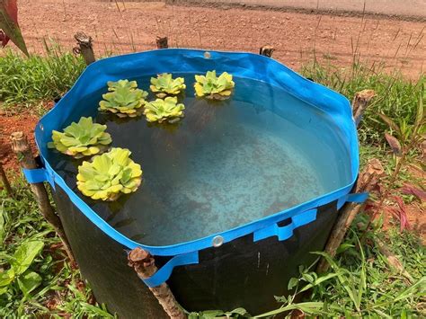 Biofloc Fish Farming Tank - Fish Tank Aquarium Manufacturer from ...