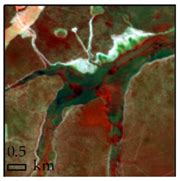 Using Spatial Features to Reduce the Impact of Seasonality for ...