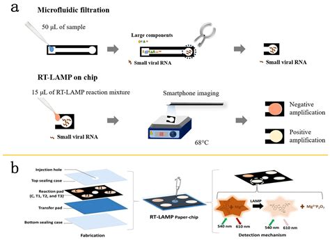 Advances in Nucleic Acid Assays for Infectious Disease: The Role of ...