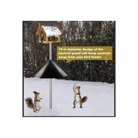 Buy Queension Squirrel Proof Baffle, 19-inch Wide Squirrel Guard ...