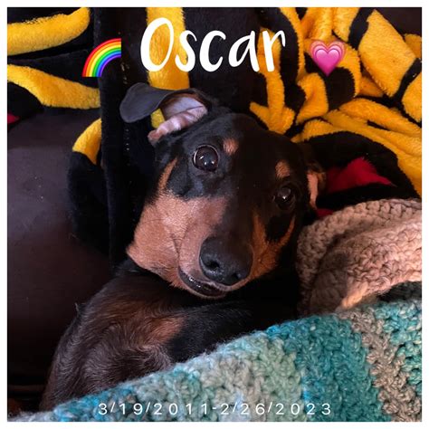 Goodbye to my best friend, Oscar (plus a ton of nicknames)… Smoke with me? : r/trees
