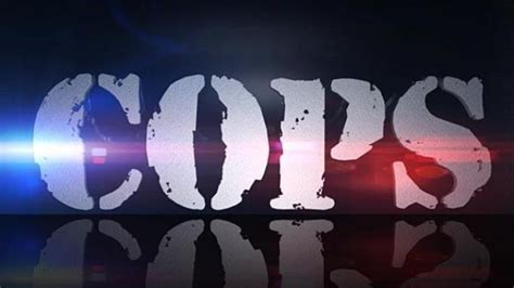 Image result for Cops Intro Fox Logo