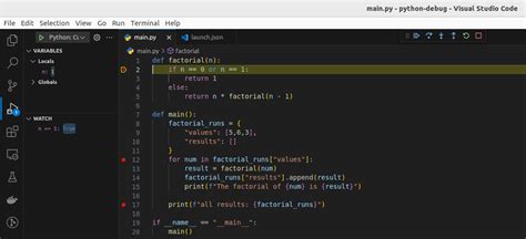 Image result for Visual Debugger Python