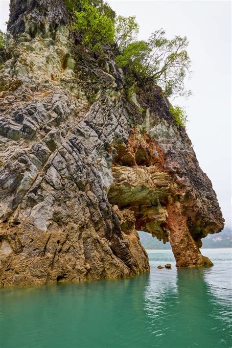 Bing Wallpaper Thailand 的图像结果