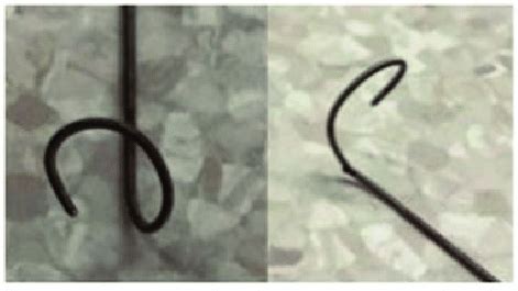 Twisted Guide 的图像结果