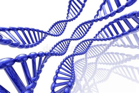 Image result for DNA and Computer Code