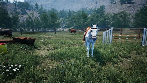 Image result for Ranch Simulator Multiplayer
