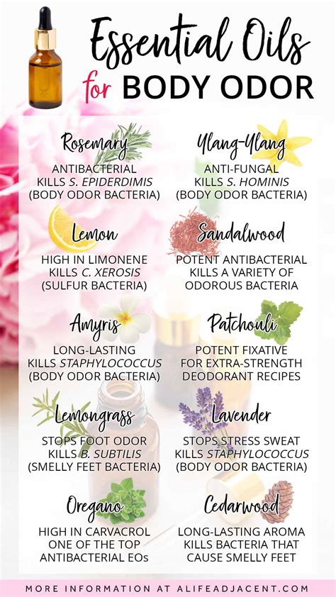 The Best Essential Oils for Body Odor - A Life Adjacent