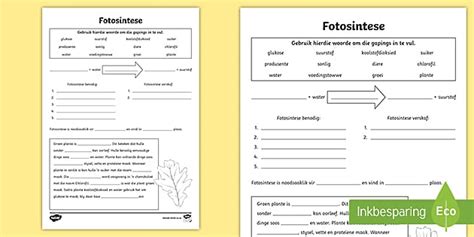 Fotosintese Aktiwiteit (teacher made) - Twinkl