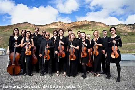 String Orchestra 的图像结果