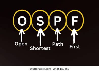 Image result for Open Shortest Path First OSPF Tutorial