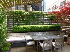 sichtschutz terrasse pflanzen terrassen sichtschutz mit pflanzen neugierige blicke sichtschutz terrasse pflanzen terrassen sichtschutz mit pflanzen neugierige blicke