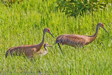 Slate Run - Metro Parks - Central Ohio Park System
