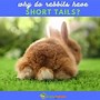 Image result for Bunny Tail