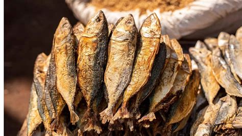 Tamil Nadu Seeks GI Tag for Rameswaram’s Unique Sea-Salt Dried Fish ...