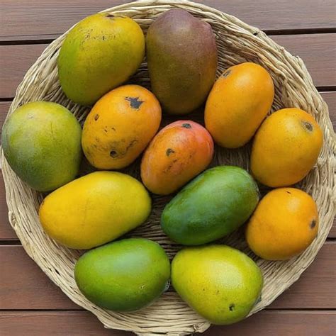 How Many Mango Varieties in India? Find the Best – AlphonsoMango.in