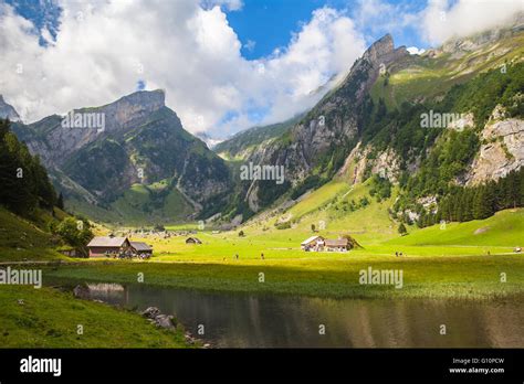 Alps Encoder 的图像结果